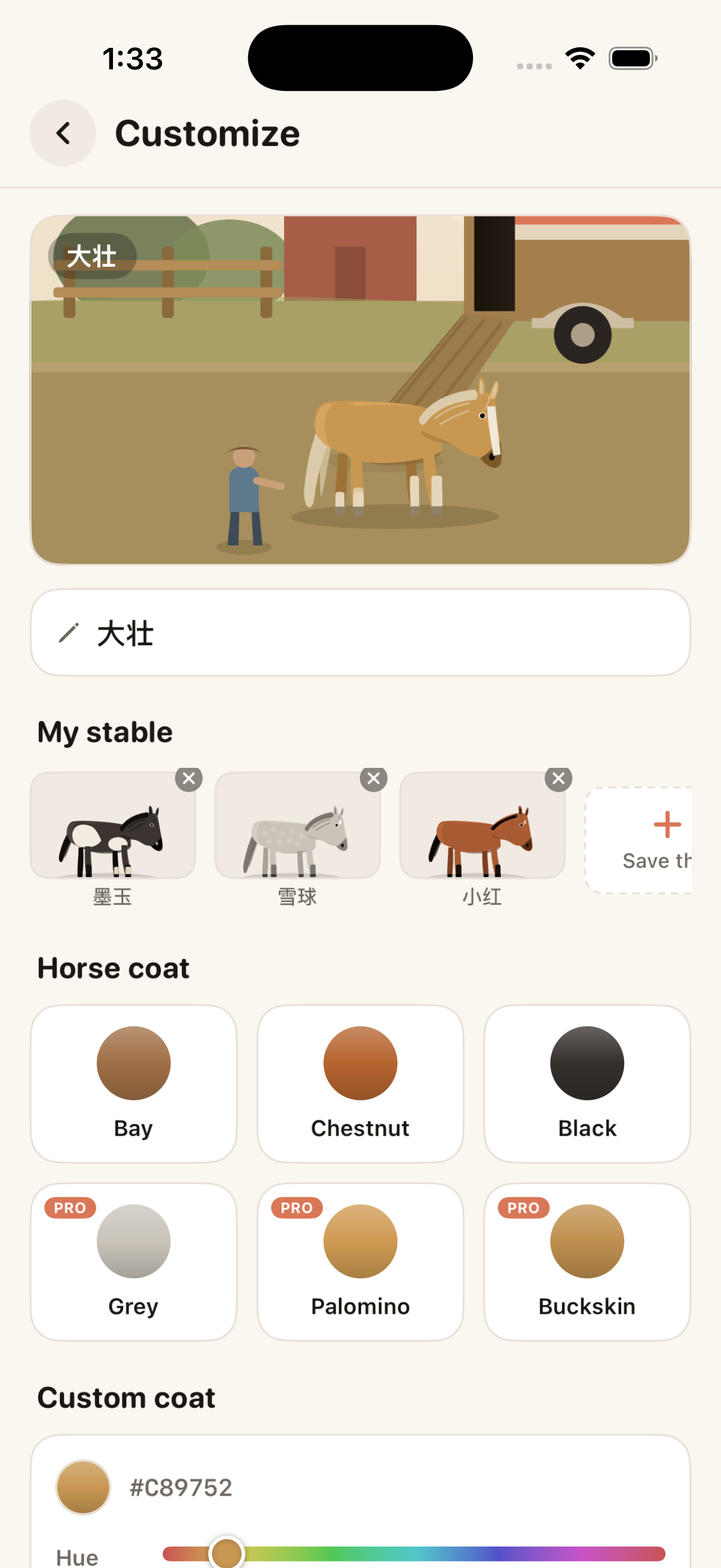 Recreate your own horse, coat to socks